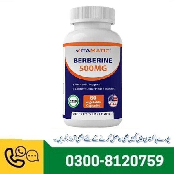 Vitamatic Berberine Supplement 500mg In Pakistan